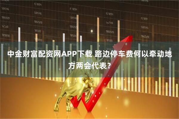 中金财富配资网APP下载 路边停车费何以牵动地方两会代表？
